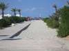 Riu Palace Royal Garden 